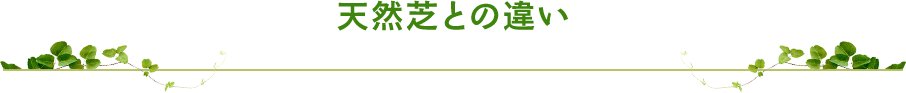 天然芝との違い