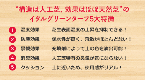 天然芝と人工芝のよさを併せ持ち、運動目的に最適！