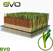 evo