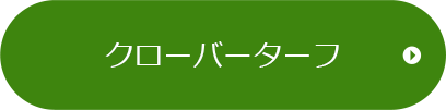 クローバーターフ
