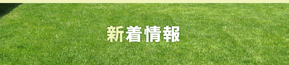 新着情報