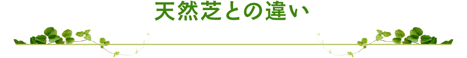 天然芝との違い