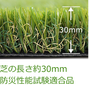 芝の長さ約30mm防災性能試験適合品