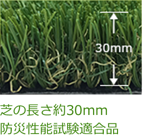 芝の長さ約30mm
                                        防災性能試験適合品