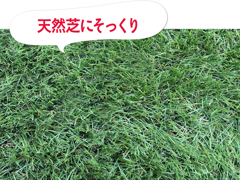 天然芝にそっくり