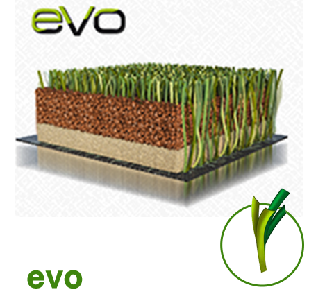 evo