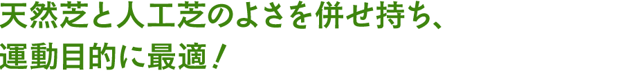 天然芝と人工芝のよさを併せ持ち、
                        運動目的に最適！