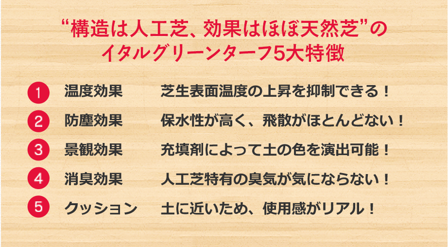天然芝と人工芝のよさを併せ持ち、運動目的に最適！